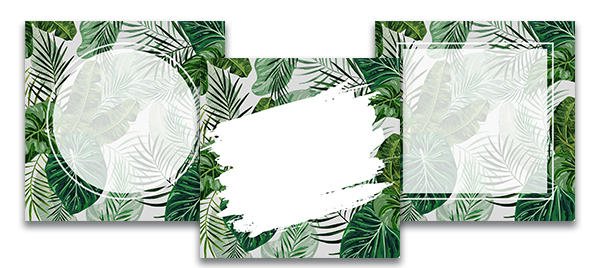 Белые шаблоны - рамки для текста инстаграм на фоне зелёных пальмовых листьев.