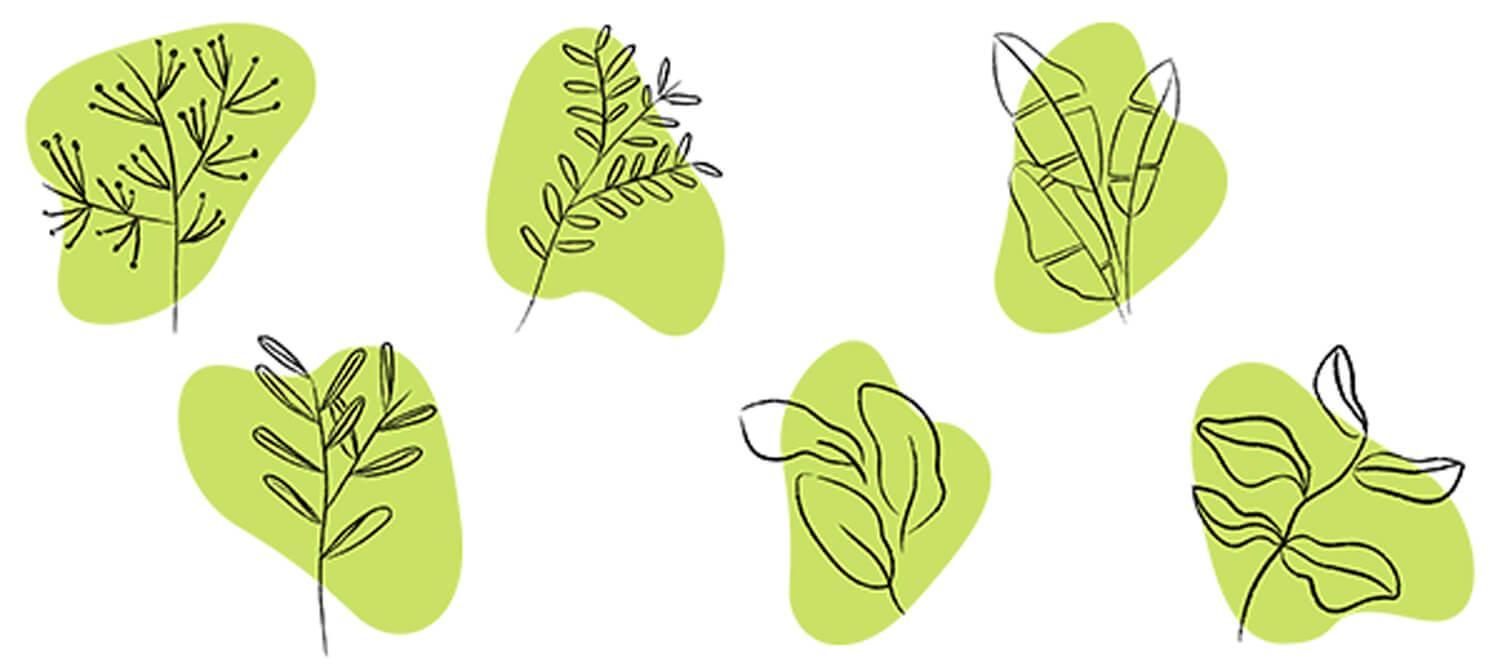 Зелёные иконки для хайлайтс в Инстаграм с рисунком растений.