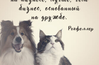 Цитата про дружбу Рокфеллера рукописным шрифтом на фоне монохромной фотографии кошки и собаки.