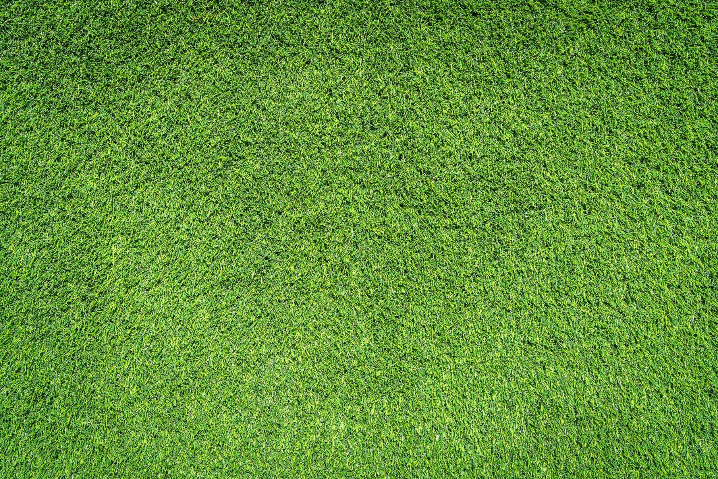 Бесшовная текстура зелёной травы на газоне летом.