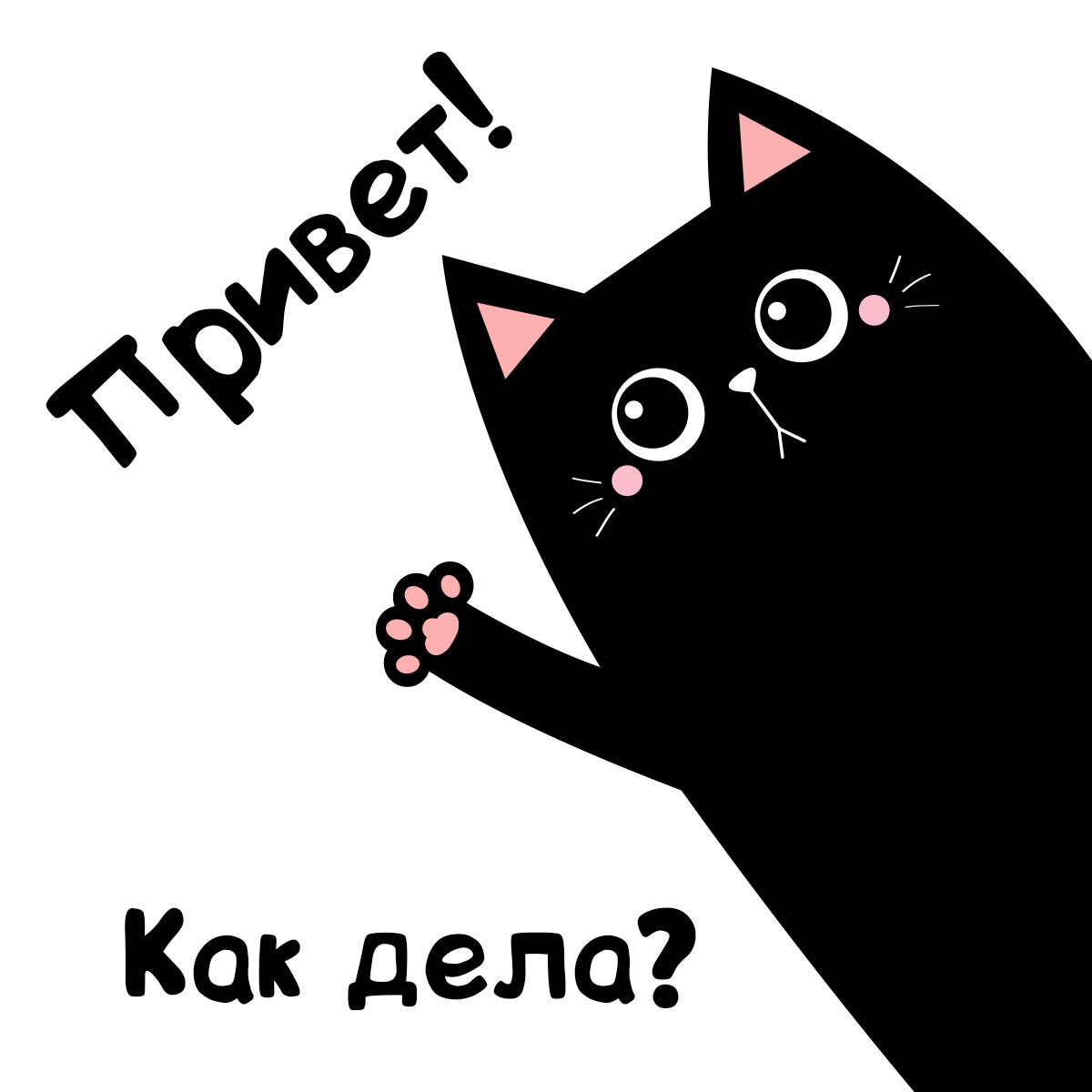 Прикольная картинка смешной черный кот и надпись привет как дела?