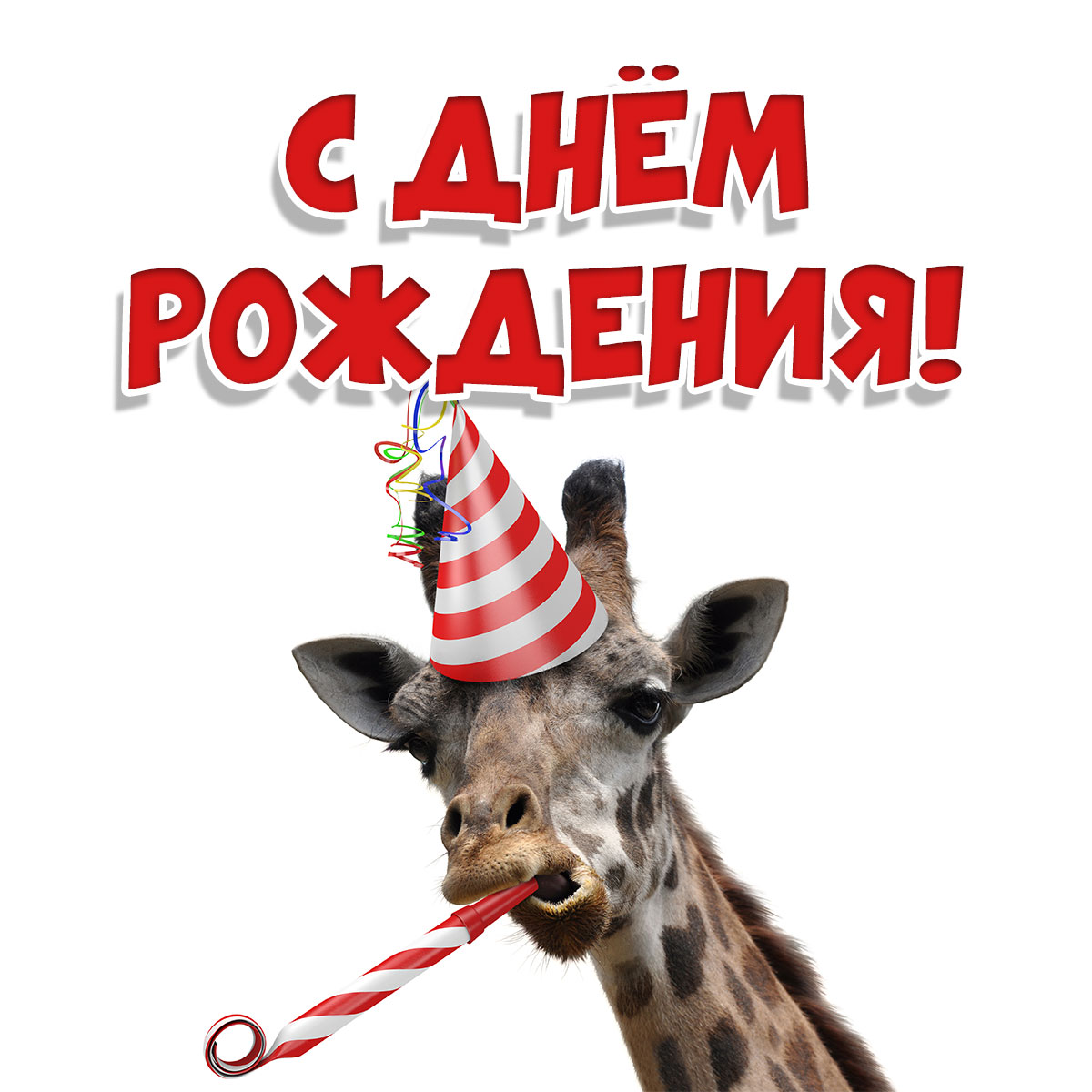 Фото с мордой жирафа в шляпе для вечеринок и надписью с днем рождения!