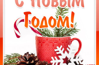 Новогодняя открытка друзьям с красной кружкой и еловыми ветками с шишками.