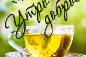 Открытка стеклянная чашка на блюдце с чаем жёлтого цвета на зелёном фоне с надписью утро доброе.