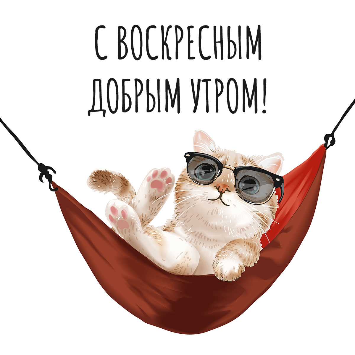 Открытка кот в солнечных очках лежит в гамаке под надписью с воскресным добрым утром!