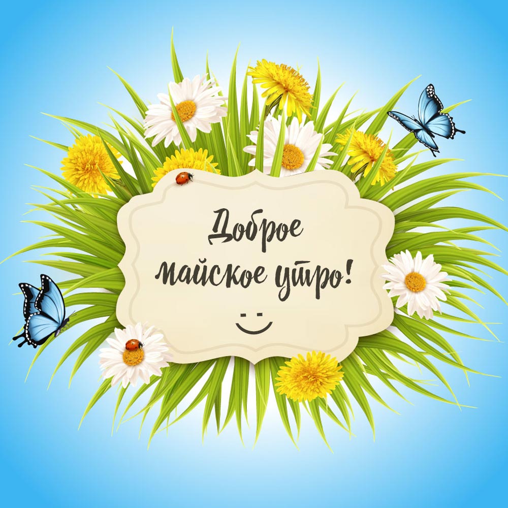 Голубая картинка с травой, цветами, бабочками и текстом доброе майское утро!