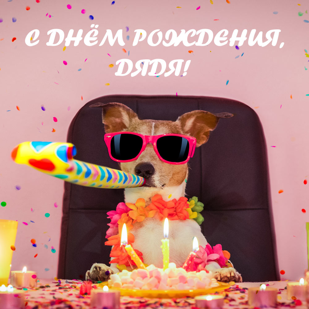 Розовая открытка смешная собака в солнечных очках с дудкой за праздничным столом и текст с днем рождения дядя!
