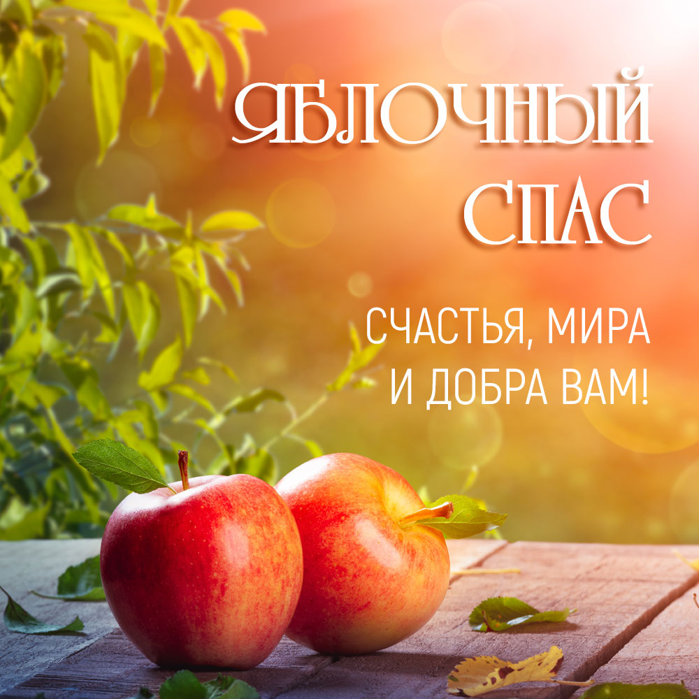 Оранжевая открытка красные яблоки на церковный праздник Яблочный Спас.