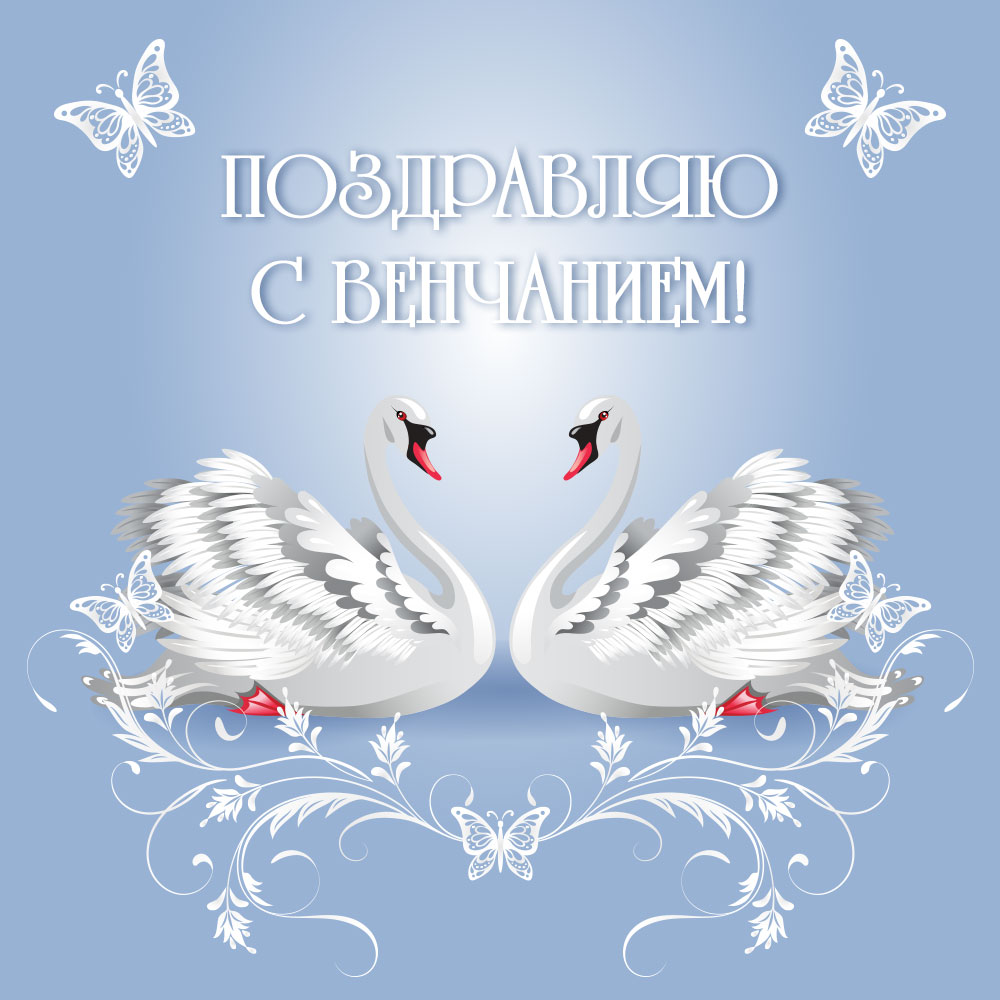 Голубая поздравительная открытка с венчанием с белыми лебедями.