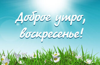 Голубая открытка весна с надписью доброе утро воскресенье и маргаритки в траве.