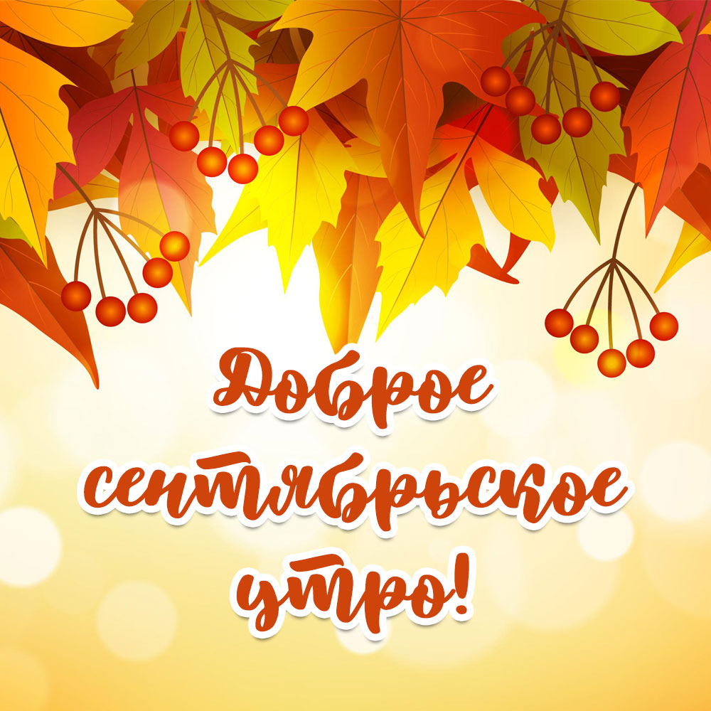 Желтая картинка с надписью доброе сентябрьское утро и оранжевыми листьями.