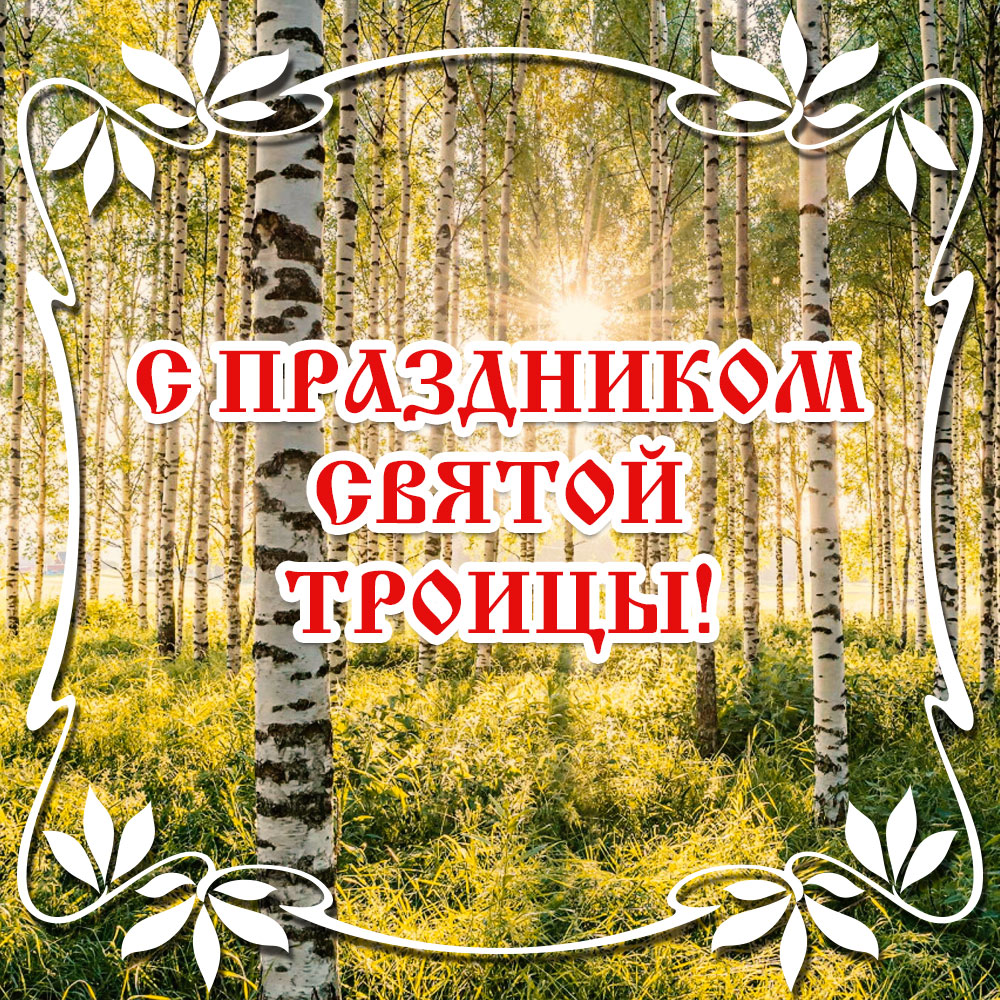 Картинка солнечный березовый лес и надпись с праздником Святой Троицы!