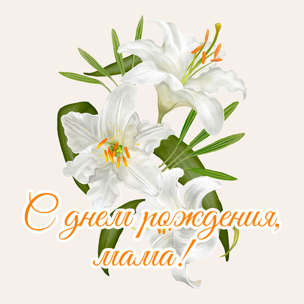 Открытка цветы белая лилия и надпись с днем рождения, мама!