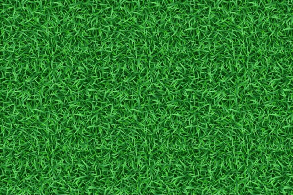 Изумрудная бесшовная текстура травы для Фотошопа.