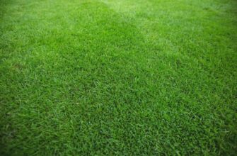 Текстура для Фотошопа трава и зеленый газон.