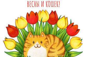 Картинка с днем кошек и первым днем весны с тюльпанами.