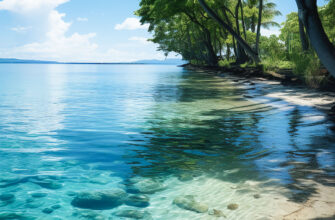 Вертикальные обои голубое море и тропические пальмы летним днем.
