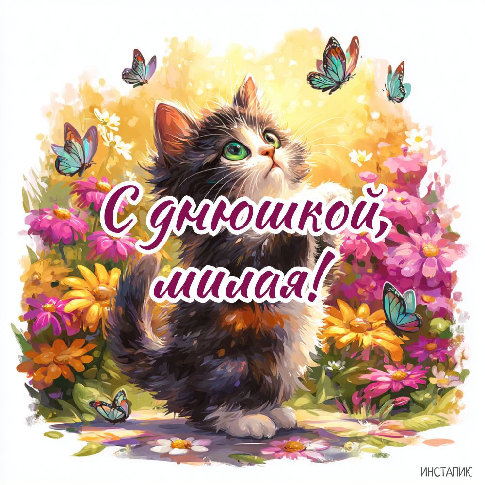Картинка с кошкой для девушки на днюшку.